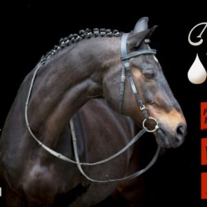 ACEITE VITAMINIZADO 1 LITRO FORRAJERO