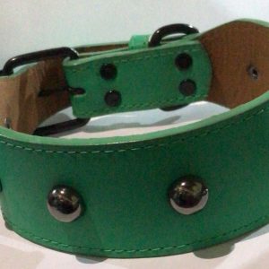 COLLAR BUEN AMIGO VARIEDAD DE COLORES